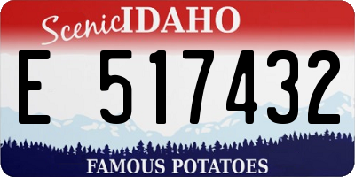 ID license plate E517432