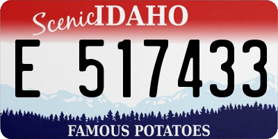 ID license plate E517433