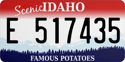 ID license plate E517435