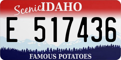 ID license plate E517436
