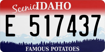 ID license plate E517437