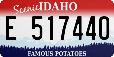 ID license plate E517440