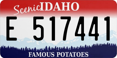 ID license plate E517441