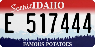 ID license plate E517444