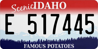 ID license plate E517445