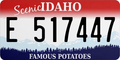 ID license plate E517447
