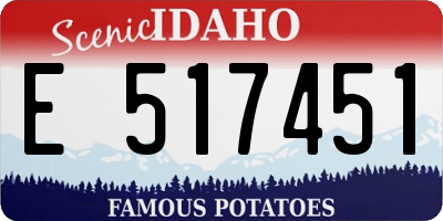 ID license plate E517451
