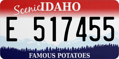 ID license plate E517455
