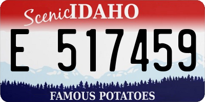 ID license plate E517459