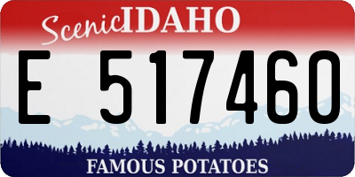 ID license plate E517460