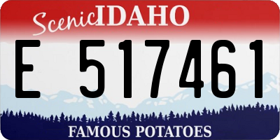 ID license plate E517461