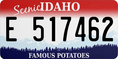 ID license plate E517462