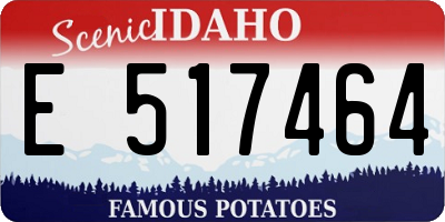 ID license plate E517464