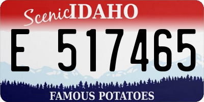 ID license plate E517465