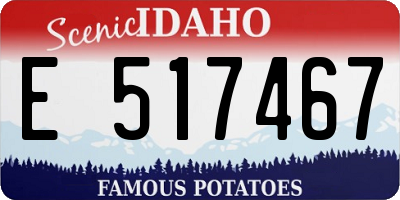 ID license plate E517467