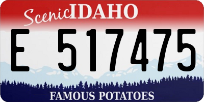 ID license plate E517475