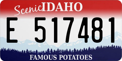 ID license plate E517481