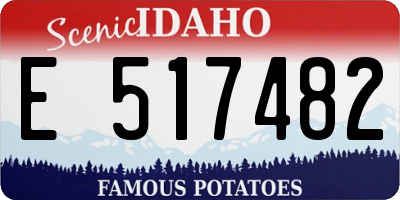 ID license plate E517482