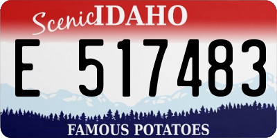 ID license plate E517483