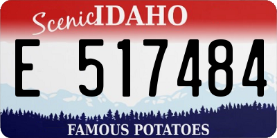 ID license plate E517484