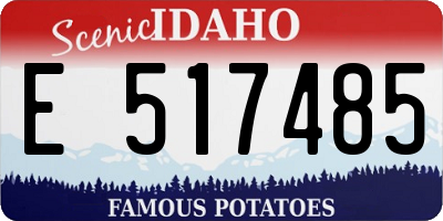 ID license plate E517485