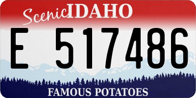 ID license plate E517486