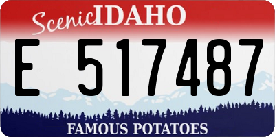 ID license plate E517487