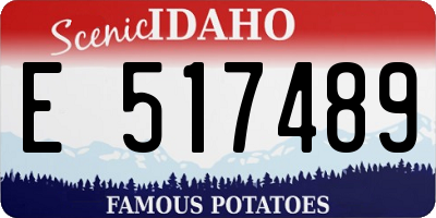 ID license plate E517489