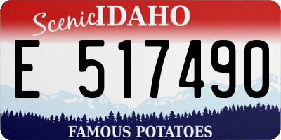 ID license plate E517490