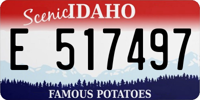 ID license plate E517497