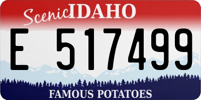 ID license plate E517499