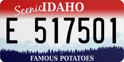 ID license plate E517501