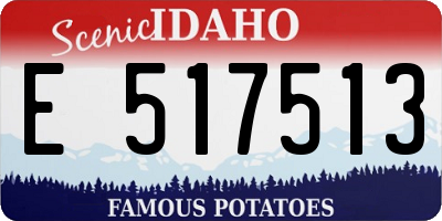 ID license plate E517513