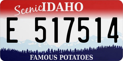 ID license plate E517514