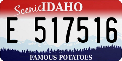 ID license plate E517516