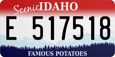 ID license plate E517518