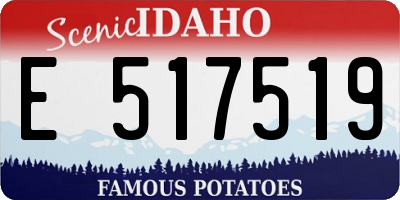 ID license plate E517519