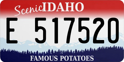 ID license plate E517520