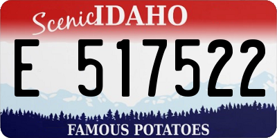 ID license plate E517522