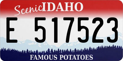 ID license plate E517523