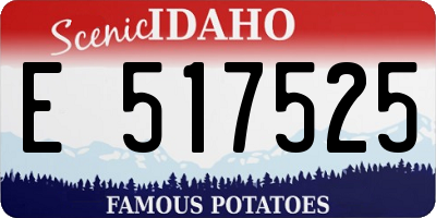 ID license plate E517525