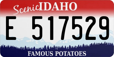 ID license plate E517529