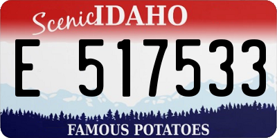 ID license plate E517533