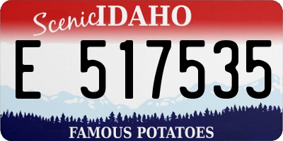 ID license plate E517535