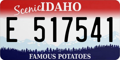ID license plate E517541