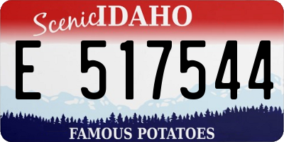 ID license plate E517544