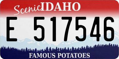 ID license plate E517546