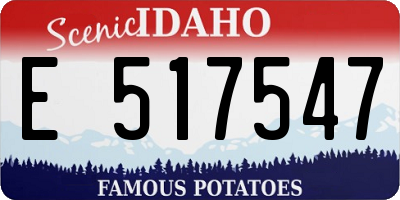 ID license plate E517547