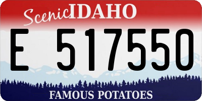 ID license plate E517550