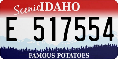 ID license plate E517554